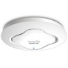 Access Point Draytek VigorAP 910C  WIFI